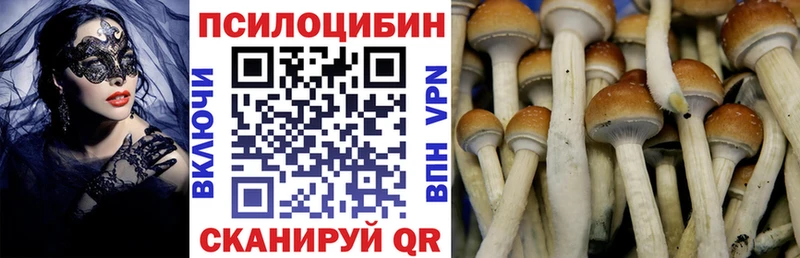 Галлюциногенные грибы Cubensis  kraken рабочий сайт  площадка как зайти  Краснотурьинск 