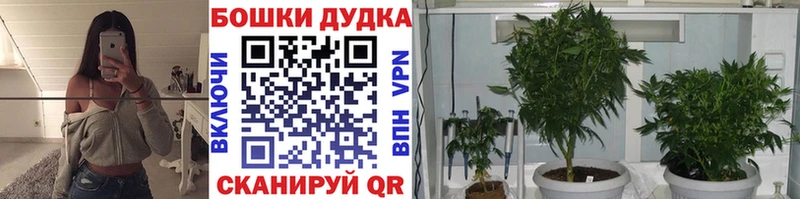 Шишки марихуана AK-47 omg онион Краснотурьинск где найти наркотики